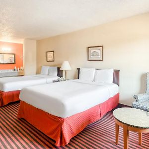 Premium Queen Room